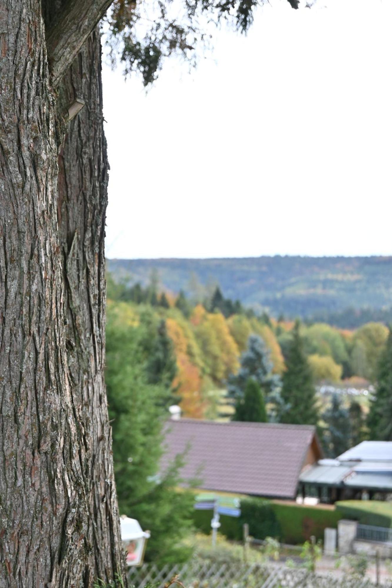 Hotel Talblick Dobel Esterno foto